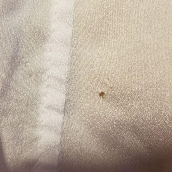 Costablanca Urban Outfitters white top sz s - Picture 5 of 10